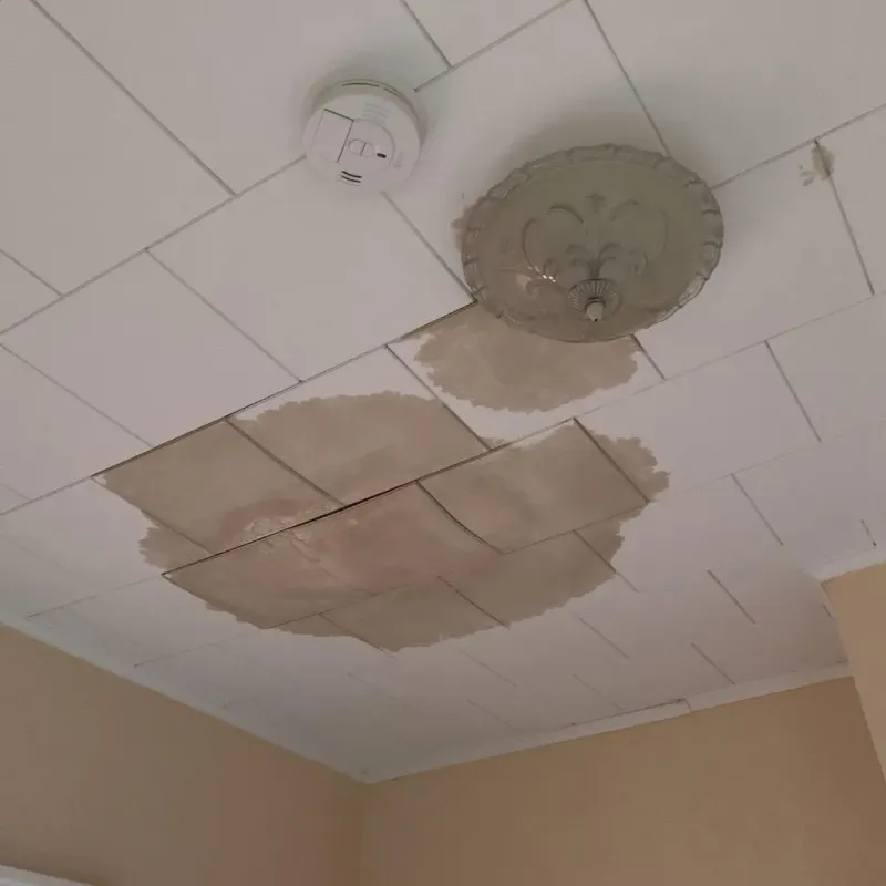 Ceiling Water Damage Repair in Petersburg, IN