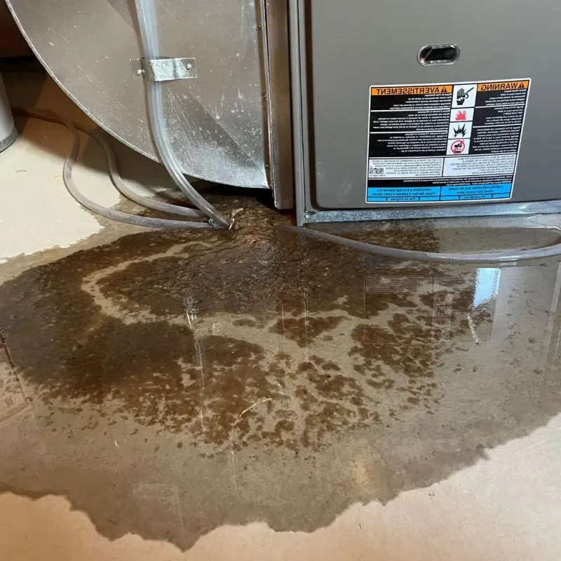 Pipe Burst and Leak Restoration in Petersburg, IN