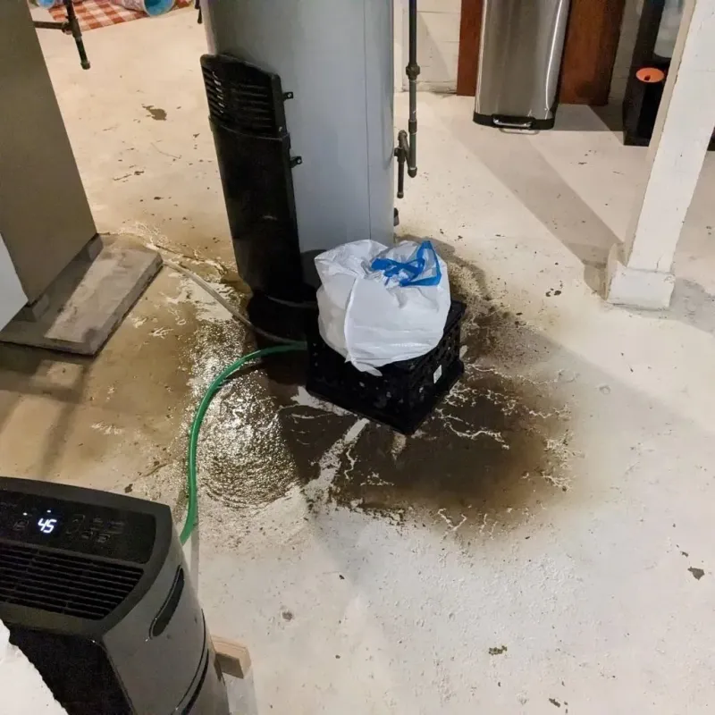 Sewage Backup Cleanup Service in Petersburg, IN